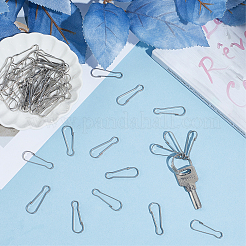 50Pcs 304 Stainless Steel Push Gate Snap Keychain Clasp Findings&nbsp;STAS-SP0001-98