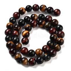 Natural Tiger Eye Beads Strands&nbsp;X-G-G448-8mm-21AB