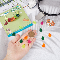 32Pcs 4 Colors Transparent Blank Acrylic Pet Dog ID Tag&nbsp;PALLOY-AB00045