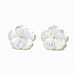 Natural White Shell Mother of Pearl Shell Beads&nbsp;SSHEL-T014-42B