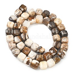 Natural Petrified Wood Beads Strands&nbsp;G-C267-A06