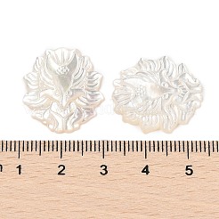Natural White Shell Carved Cabochons&nbsp;SSHEL-I026-22B