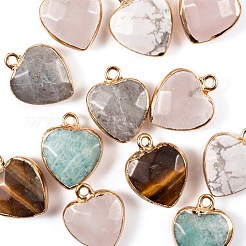 12Pcs 6 Style Electroplate Natural Gemstone Pendants&nbsp;G-LS0002-09
