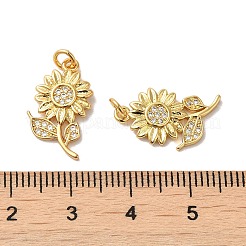 Rack Plating Brass Micro Pave Cubic Zirconia Pendants&nbsp;LS-KK-K377-60G