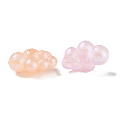 Transparent Acrylic Beads&nbsp;OACR-Z013-02B