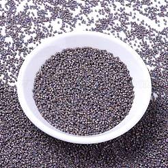 MIYUKI Delica Beads&nbsp;SEED-JP0008-DB1067