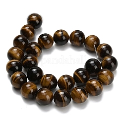 Natural Tiger Eye Beads Strands&nbsp;G-L642-B02-16mm-AA