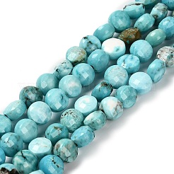 Natural Howlite Beads Strands&nbsp;G-C179-A6mm-27