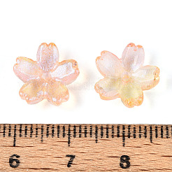 Baking Paint Transparent Glass Bead Caps&nbsp;DGLA-N014-06B-06