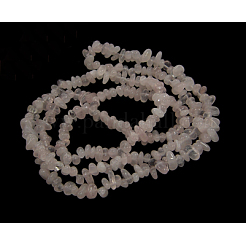 Natural Rose Quartz Chips Beads Strands&nbsp;F007-3