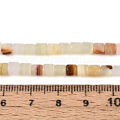 Natural Green Banded Calcite(Afghan Jade) Beads Strands&nbsp;G-T141-94B