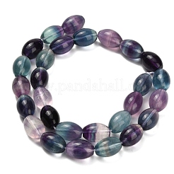 Natural Fluorite Beads Strands&nbsp;G-L634-H01-14x10mm
