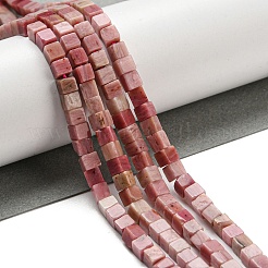 Natural Rhodonite Beads Strands&nbsp;G-C129-A14-01