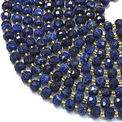 Natural Sodalite Beads Strands&nbsp;G-K389-E43-01