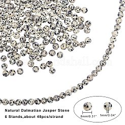 Natural Dalmatian Jasper Stone Bead Strands&nbsp;G-AR0001-29