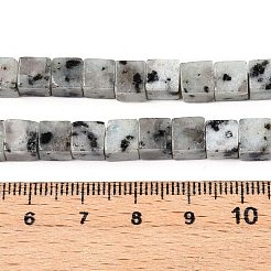 Natural Sesame Jasper/Kiwi Jasper Beads Strands&nbsp;G-T139-6x6-01A