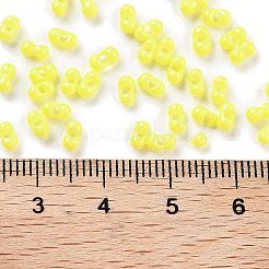 Baking Paint Glass Seed Beads&nbsp;SEED-A033-04I