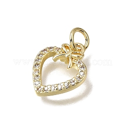 Brass Micro Pave Clear Cubic Zirconia Charms&nbsp;CU-L001-19G-03