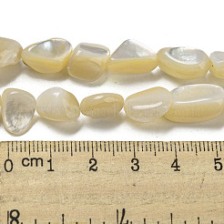 Natural White Shell Beads Strands&nbsp;SSHEL-H072-15