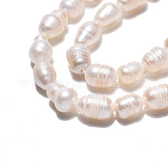 Natural Cultured Freshwater Pearl Beads Strands&nbsp;X-PEAR-N012-05E