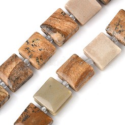 Natural Picture Jasper Beads Strands&nbsp;G-F802-B06-01