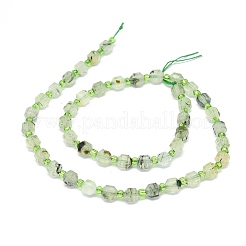 Natural Prehnite Beads Strands&nbsp;G-O201B-19