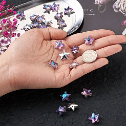 K9 Glass Rhinestone Charms&nbsp;X-GLAA-TA001-007