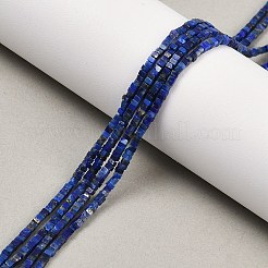 Natural Lapis Lazuli Beads Strands&nbsp;G-K399-B09-01