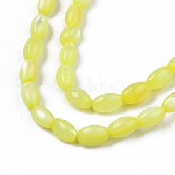 Freshwater Shell Beads Strands&nbsp;SHEL-T009-B15-01