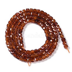 Natural Garnet Beads Strands&nbsp;G-P457-B01-18A