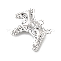 Alloy Pendants&nbsp;FIND-I066-02P
