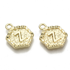 Alloy Pendants&nbsp;PALLOY-N157-003Z-NR