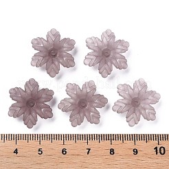 Transparent Acrylic Beads&nbsp;MACR-S373-117-D11