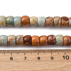 Natural Aqua Terra Jasper Beads Strands&nbsp;G-L624-D03-10x8mm