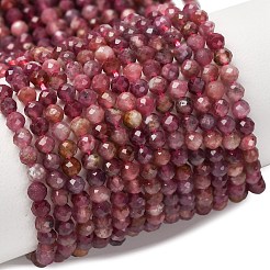 Natural Red Tourmaline Beads Strands&nbsp;X-G-A021-01D-01