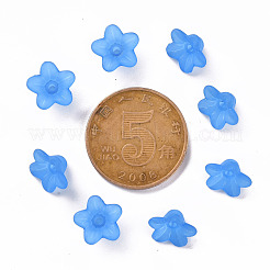 Transparent Acrylic Beads&nbsp;PL554-09