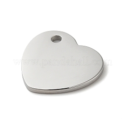 Non-Tarnish 304 Stainless Steel Pendants&nbsp;STAS-K270-05P