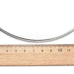 Non-Tarnish 304 Stainless Steel Necklaces&nbsp;NJEW-D274-01P