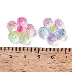 Transparent Resin Decoden Cabochons&nbsp;X-RESI-M045-03