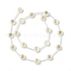 Natural Freshwater Shell Beads Strands&nbsp;BSHE-B005-13D