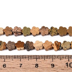 Natural Picture Jasper Beads Strands&nbsp;G-N257-24A-08