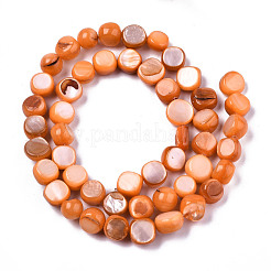Natural Freshwater Shell Beads Strands&nbsp;SHEL-S276-110B-07