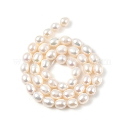 Natural Cultured Freshwater Pearl Beads Strands&nbsp;PEAR-I007-01D-01A