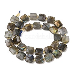 Natural Mixed Gemstone Beads Strands&nbsp;G-L642-L01-10mm