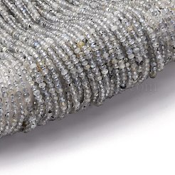 Natural Labradorite Beads Strands&nbsp;G-RM2025-D17-B