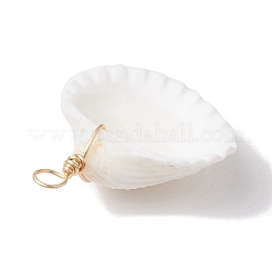 Natural Ark Shell Copper Wire Wrapped Pendants&nbsp;PALLOY-JF02678-01