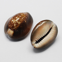 Natural Cowrie Shell Beads&nbsp;BSHE-Q294-21