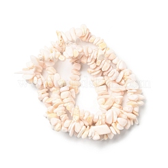 Natural Pink Shell Beads Strands&nbsp;BSHE-G029-02