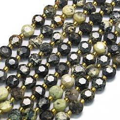Natural African Turquoise(Jasper) Beads Strands&nbsp;G-C116-A23-02