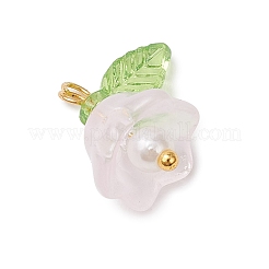 Glass Charms&nbsp;PALLOY-MZ00838-04